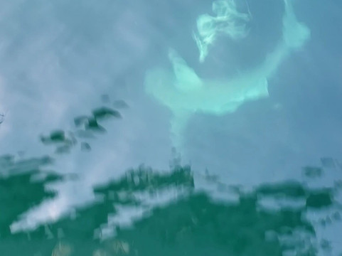 Semper Fish Charters-德斯廷必去景点