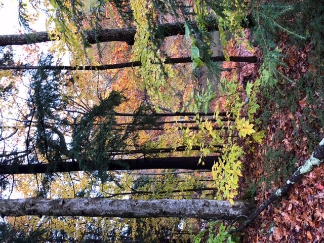 Inn at Water's Edge主图