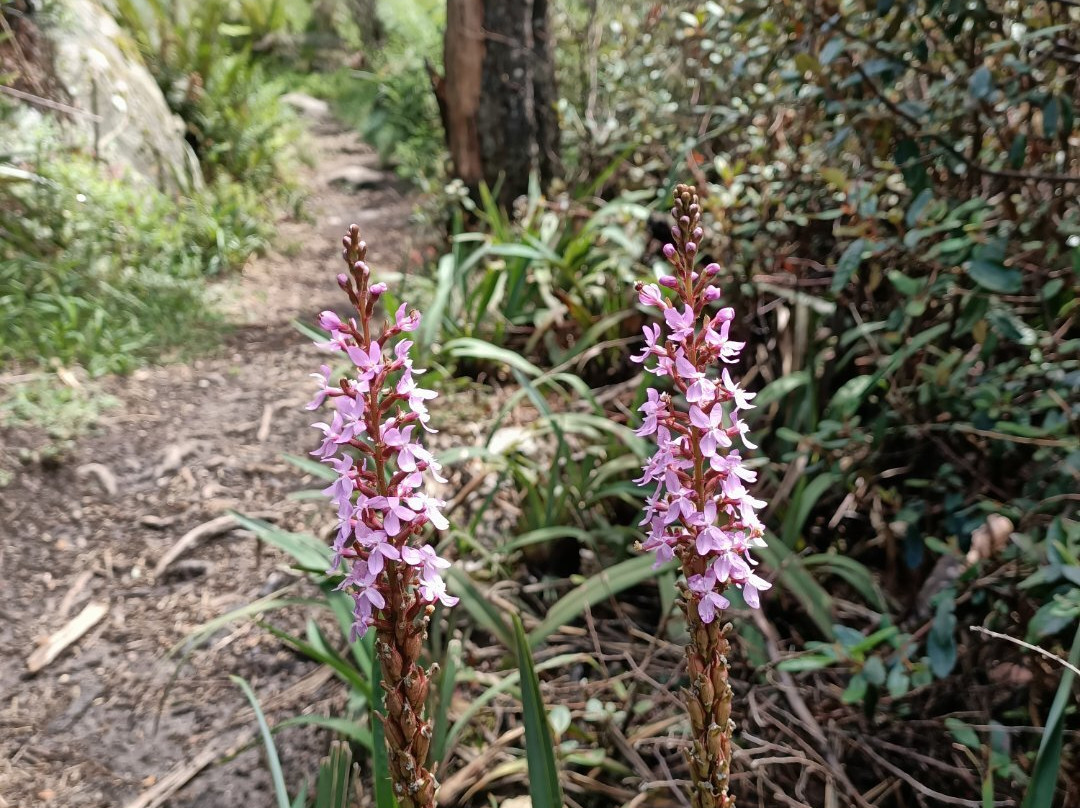 Baw Baw National Park-Walhalla必去景点