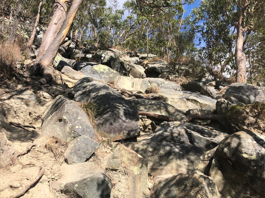 Mount Cooroora景点图片