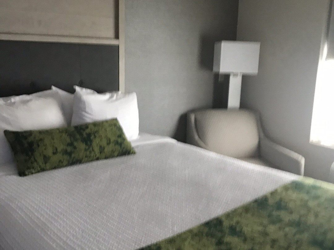 Best Western Premier I-95 Savannah Airport/ Pooler West主图