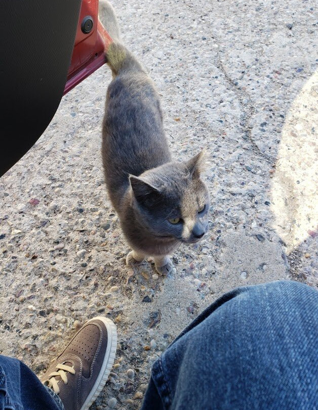 Valley Springs Farm Bed & Breakfast主图