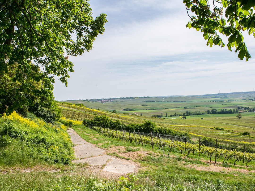 Hofgut Wissberg – Das Weinberghotel主图