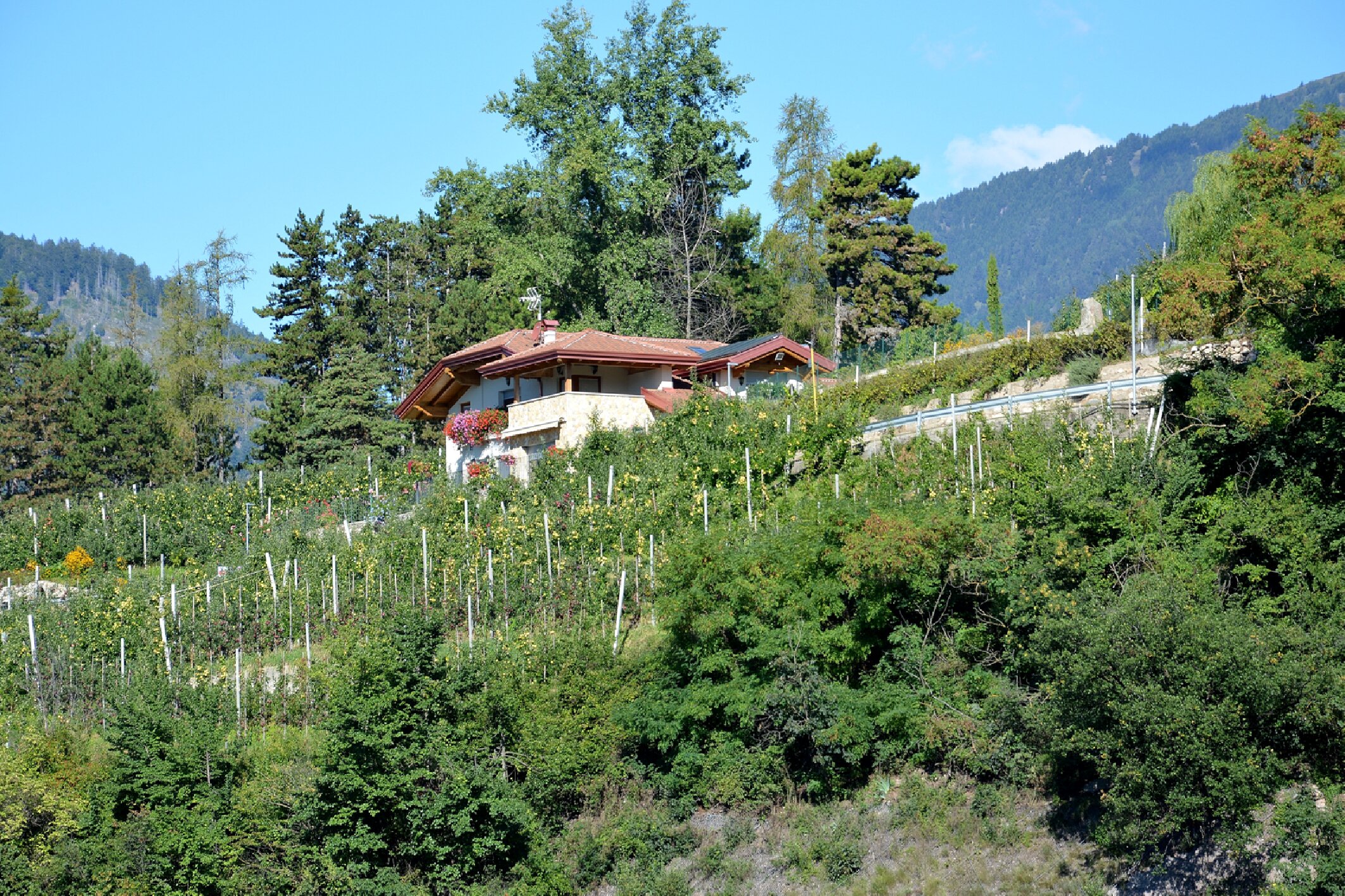 Agritur Vista Lago-浴室