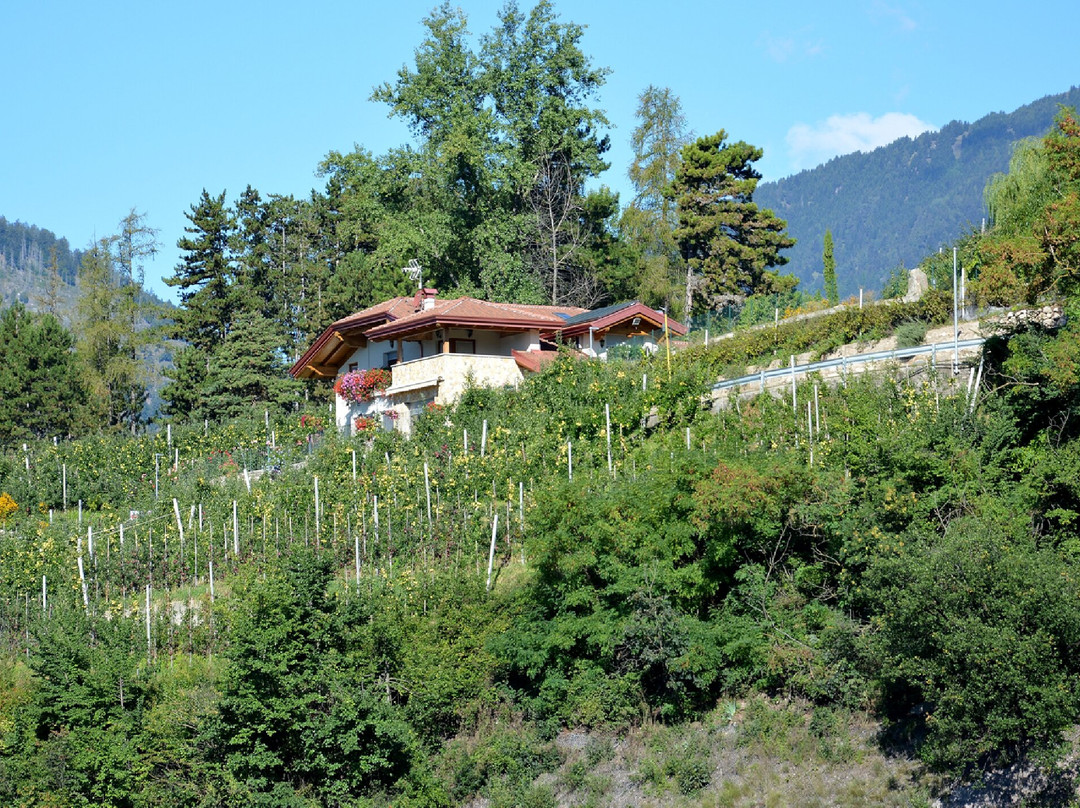 Agritur Vista Lago主图