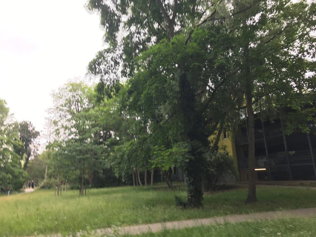 Stephan-Jantzen-Park景点图片