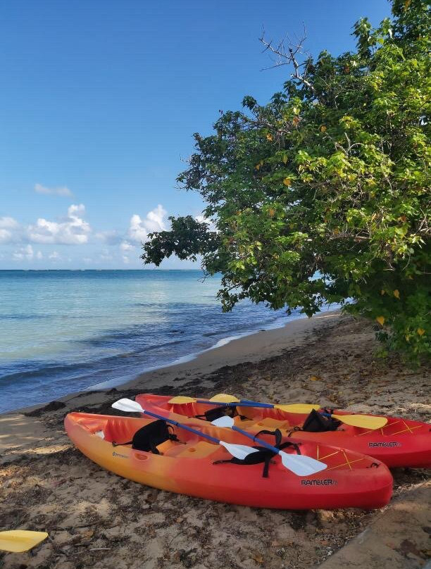 Pirate Snorkeling Shack-法哈多必去景点
