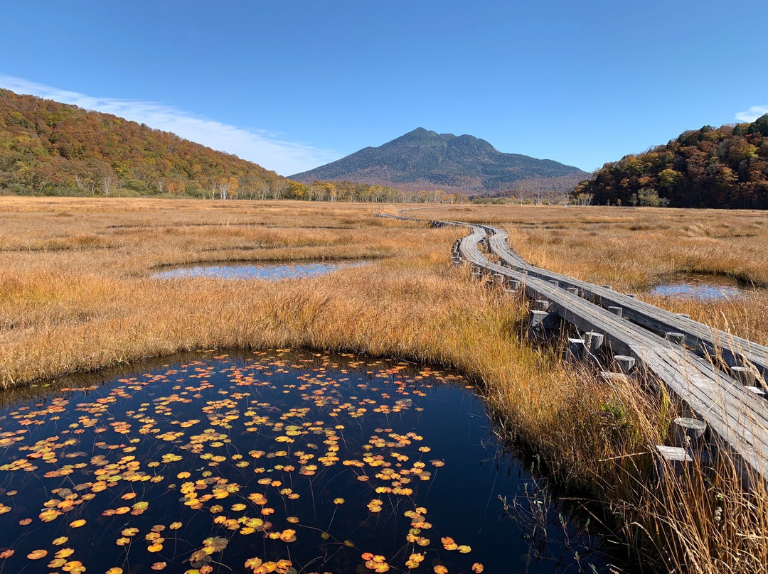Oze National Park景点图片