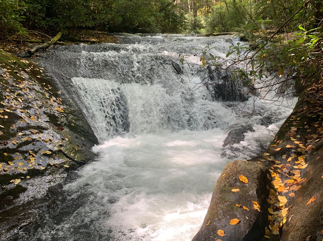 Hemlock Falls Trail景点图片