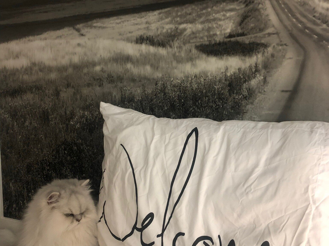 Home Inn Express Medicine Hat主图