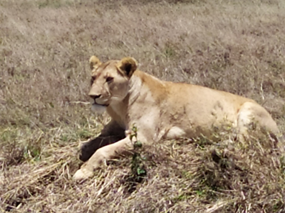 Safari Kenya Tanzania-瓦塔木必去景点