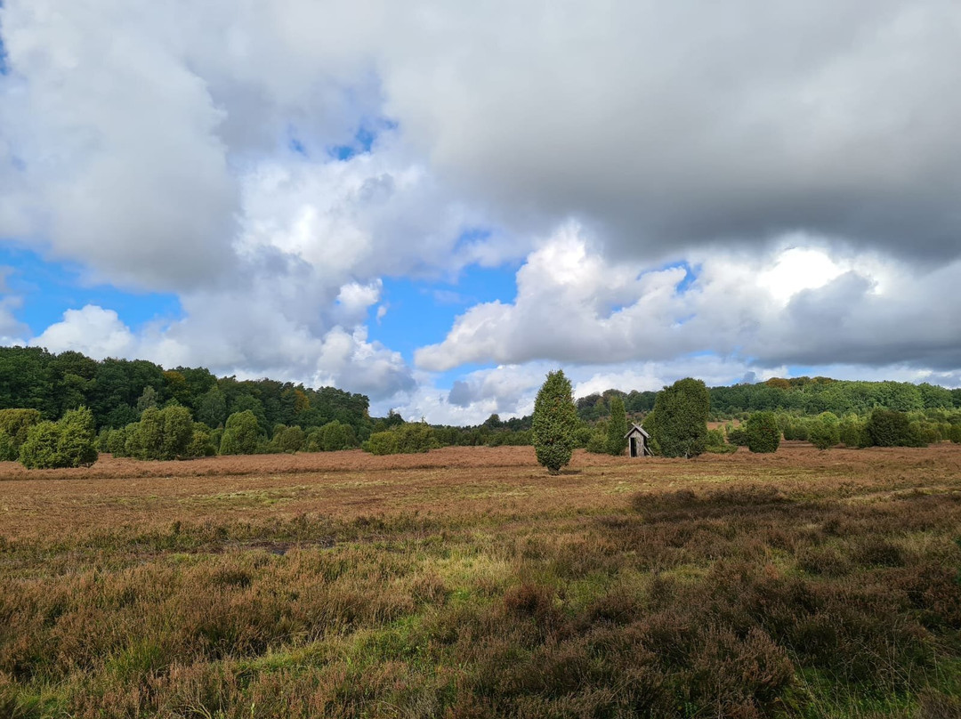 Landhaus Haverbeckhof主图