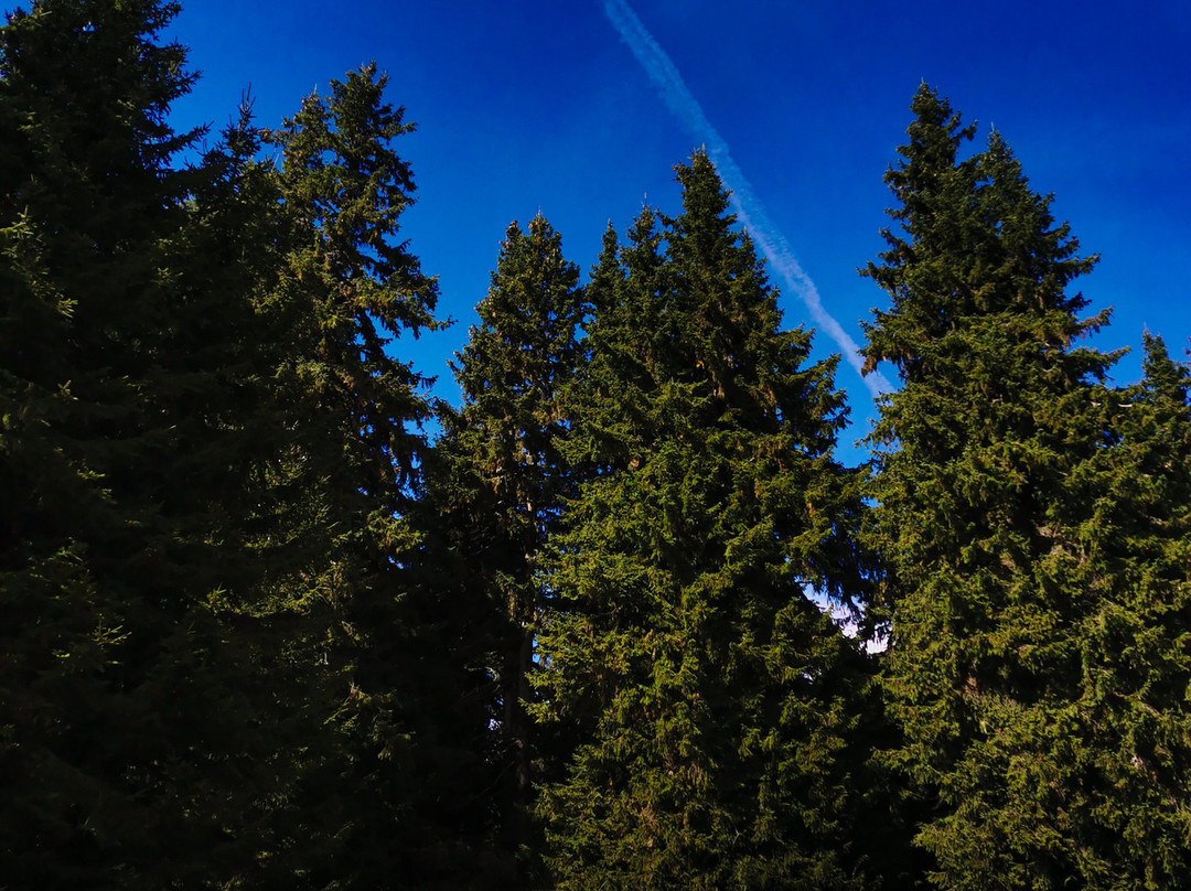 Magical Tours Bulgaria-索非亚必去景点