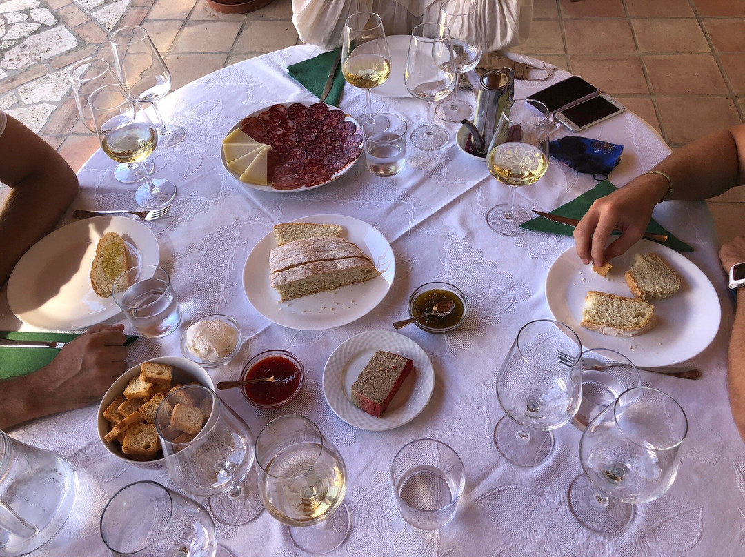Bodega Garcia Hidalgo景点图片