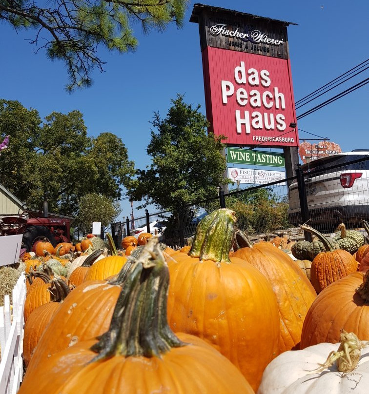 Fischer & Wieser's Das Peach Haus-弗雷德里克斯堡必去景点