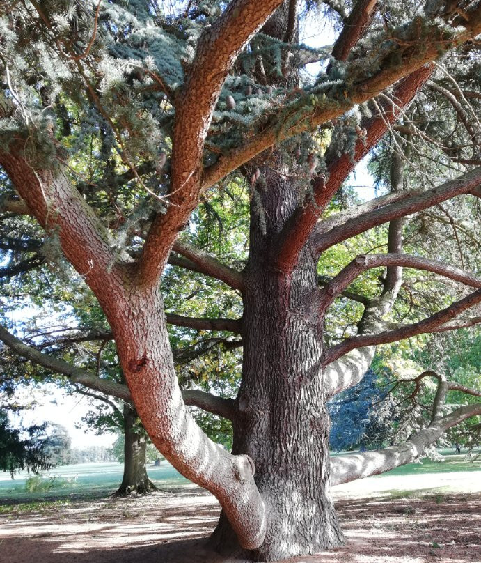 Parc de Schoppenwihr-Bennwihr必去景点