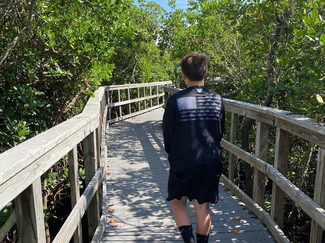 Indian Rocks Beach Nature Preserve景点图片