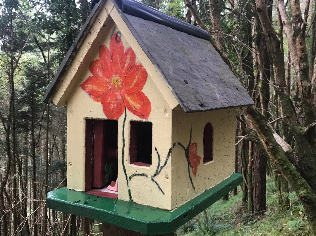 Glenbeigh Fairy Forest-Glenbeigh必去景点
