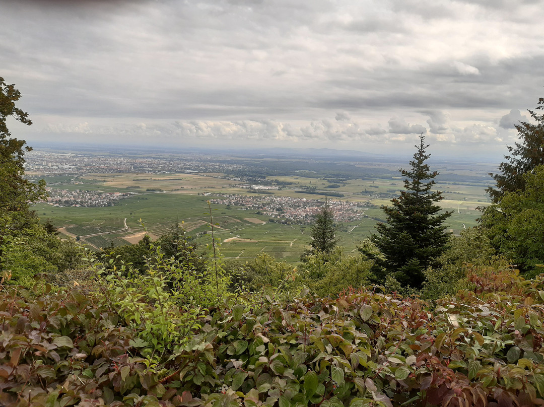 Les Trois-Chateaux du Haut-Eguisheim-艾古斯汉必去景点
