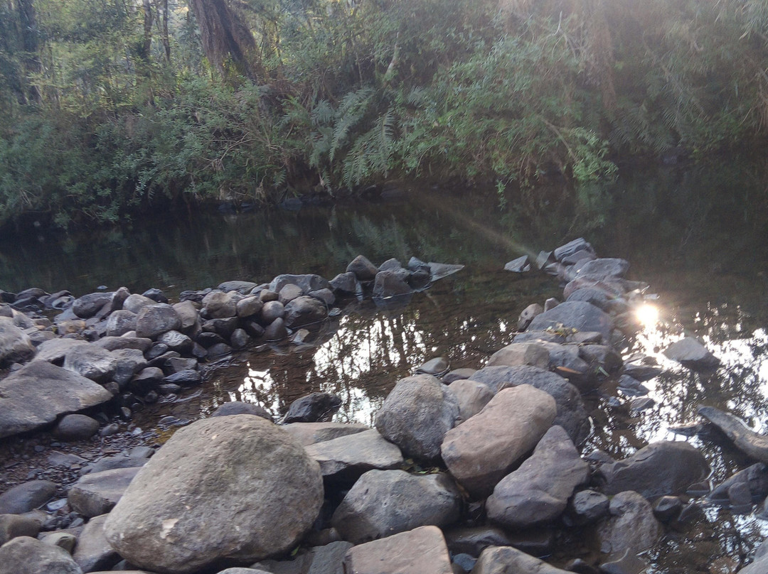 Cachoeira do Rio Bonito景点图片