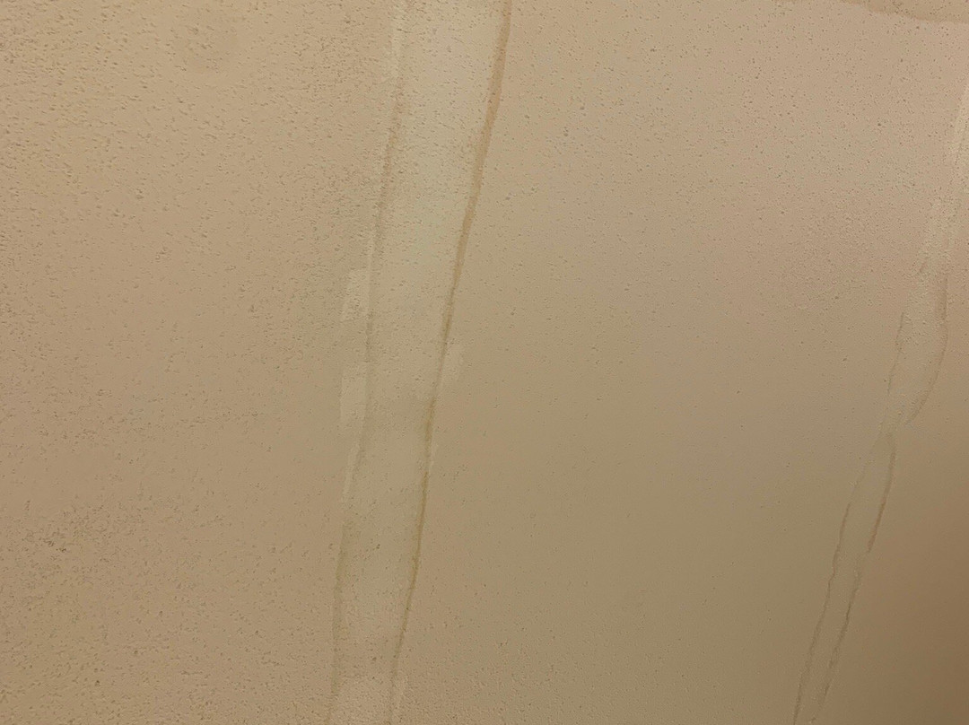 Holiday Inn Express & Suites New Orleans Airport South By IHG主图