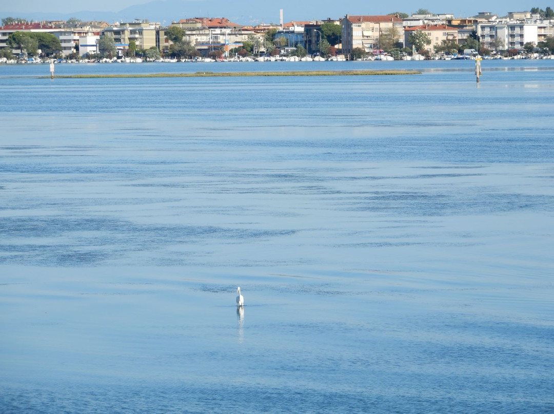 La laguna di Grado e i suoi Casoni景点图片