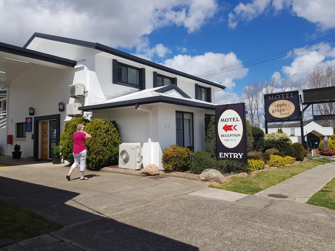 Apple & Grape Motel主图