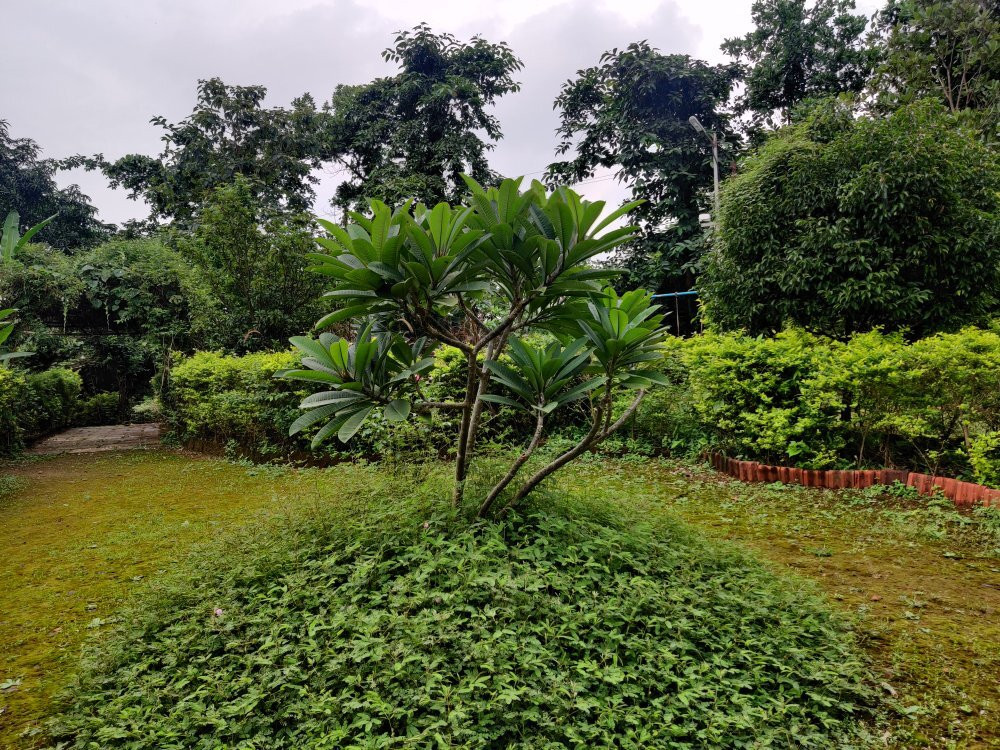 Aajol - The Village Homestay主图