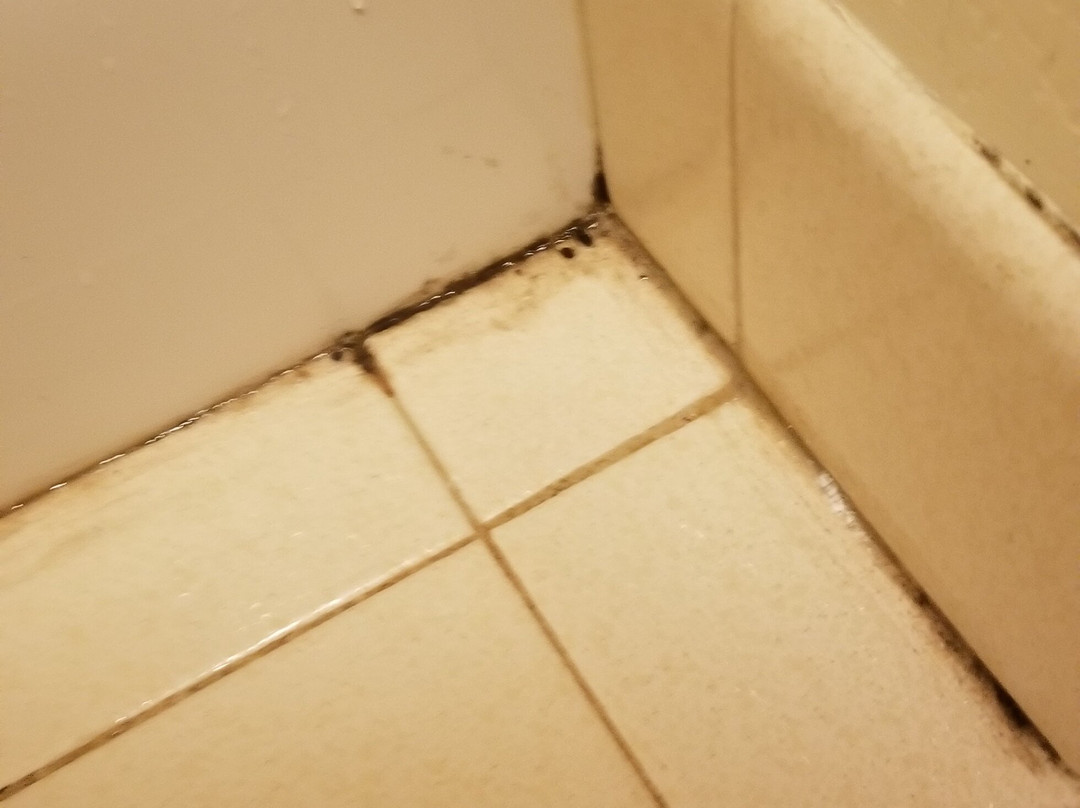 M22 Inn Empire主图