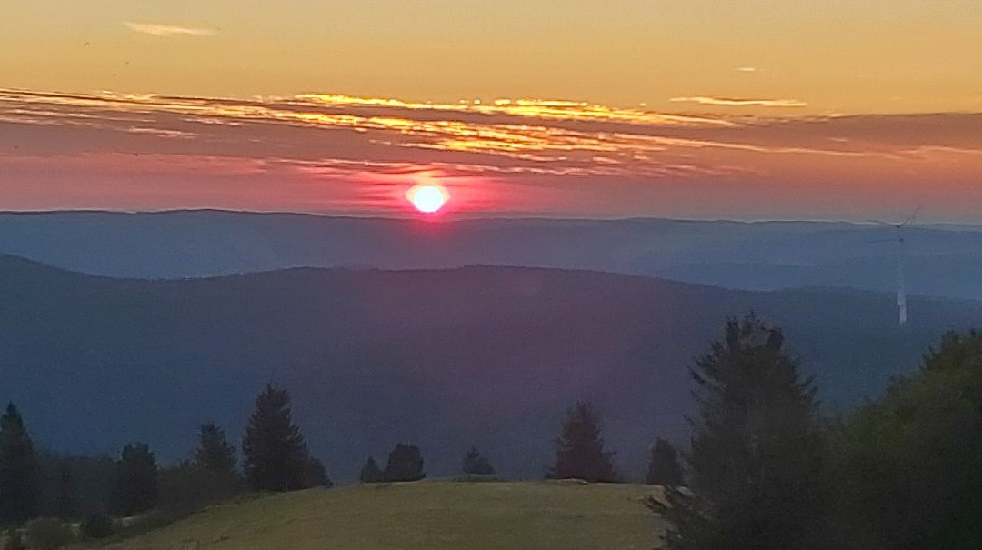 Restaurant Hotel Zum Storchen主图
