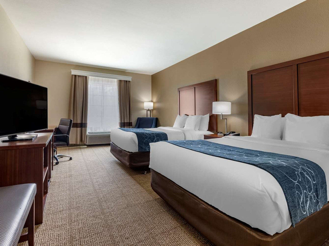 Comfort Inn & Suites Paris主图