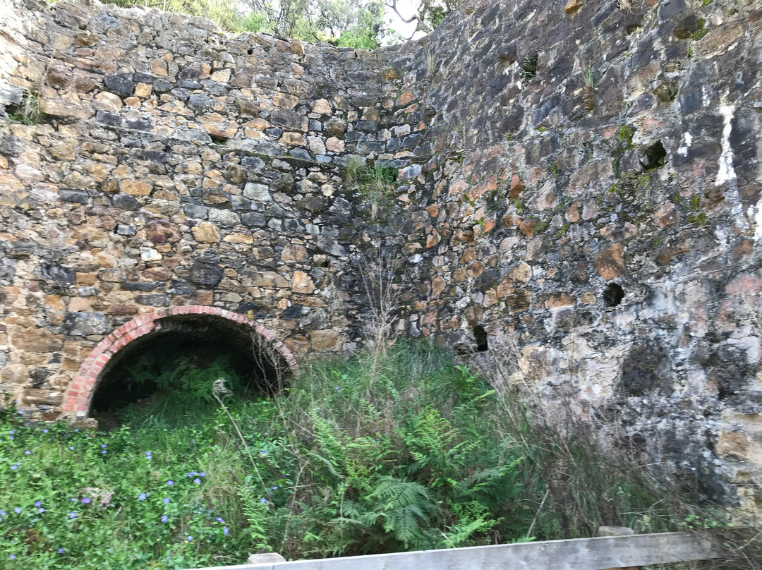 Walkerville Lime Kilns-Walkerville必去景点