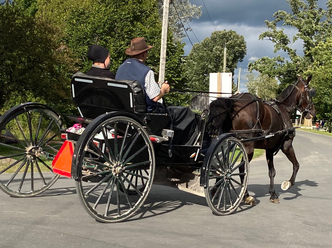 Hilton Garden Inn Kitchener/Cambridge主图