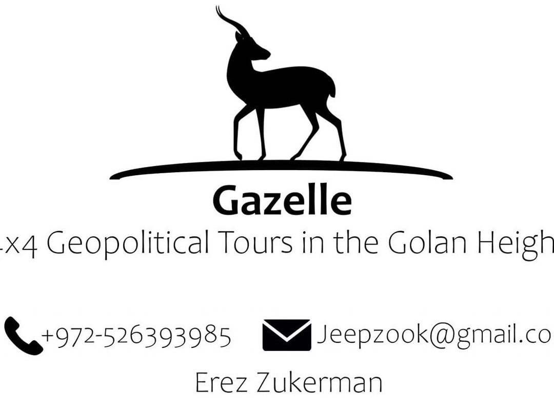 Gazelle - 4x4 Geopolitical Tours - Erez Zukerman-Merom Golan必去景点