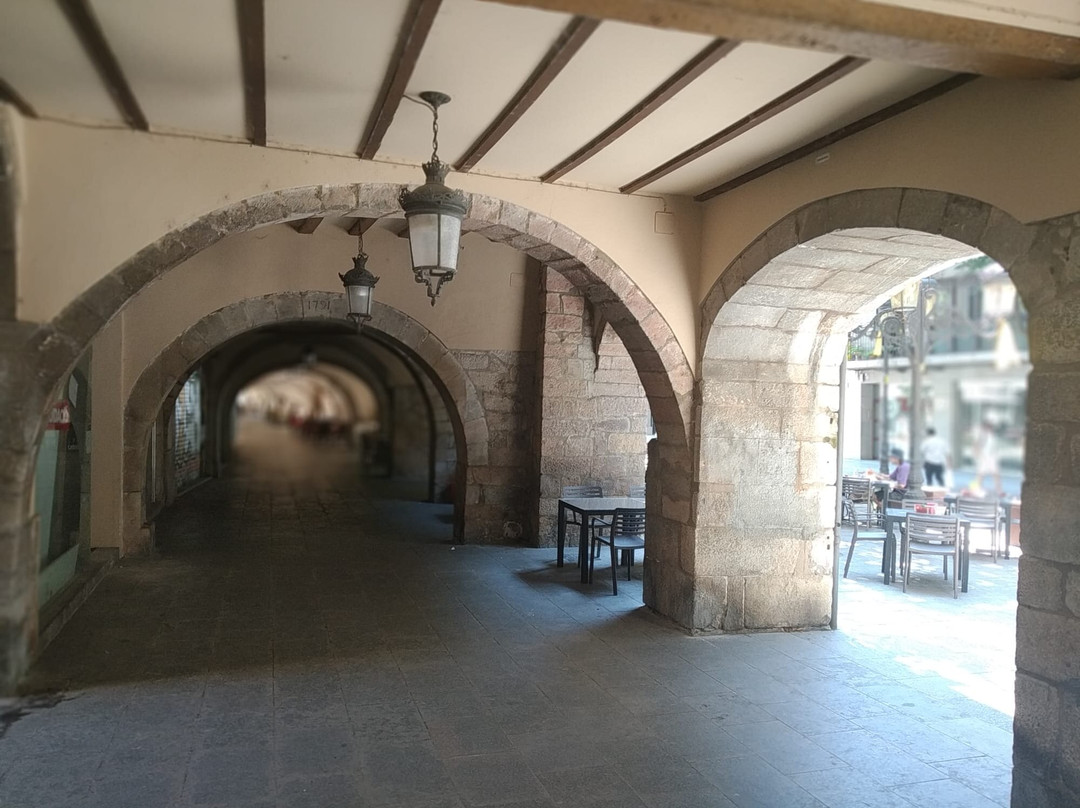 Rambla De La Llibertad景点图片