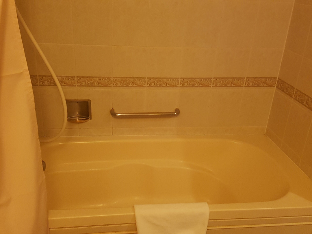 成田国际花园酒店主图