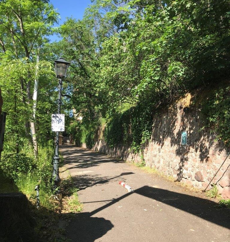Zoo Halle (Mountain Zoo)-哈雷必去景点