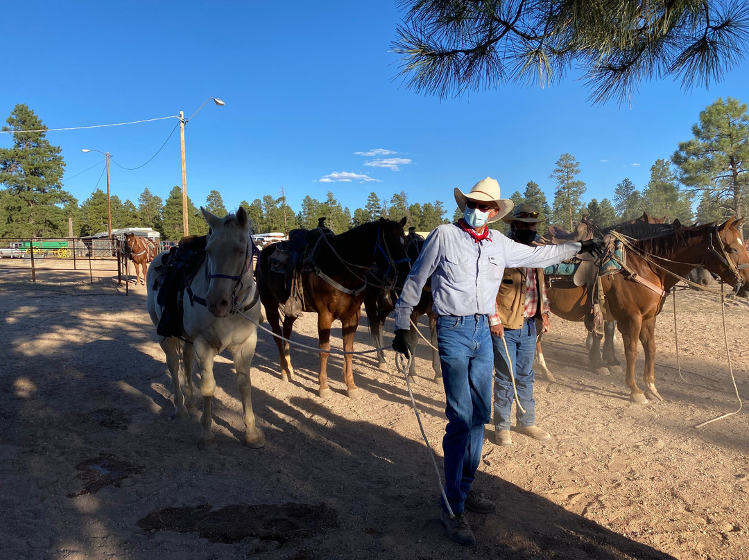 Grand Canyon Trail Rides-图萨扬必去景点