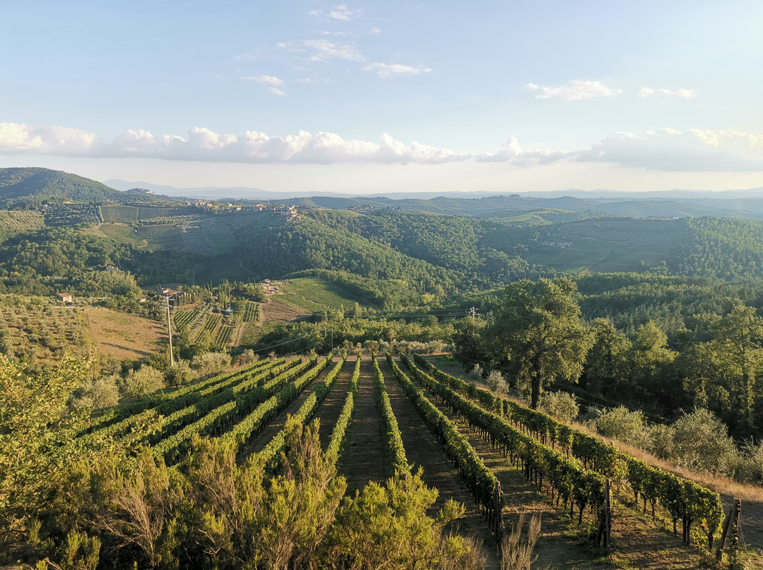La Casa Di Bricciano - Organic Winery景点图片