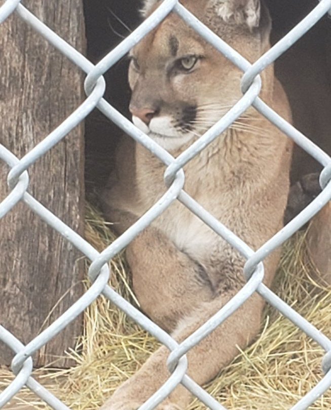 Centre D'Observation Le Nirvana