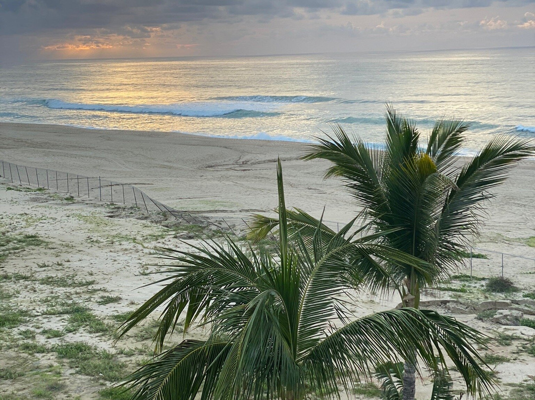 Titos Sportfishing-卡波圣卢卡斯必去景点