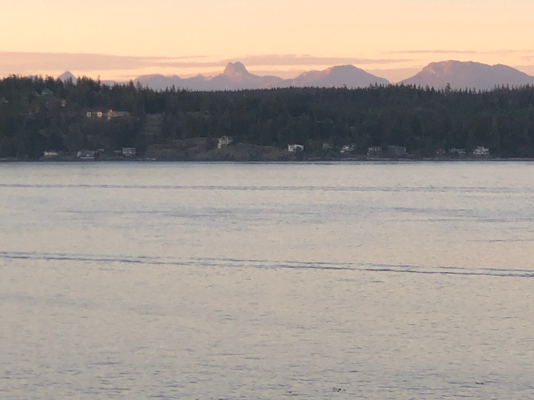 Anchor Inn & Suites主图