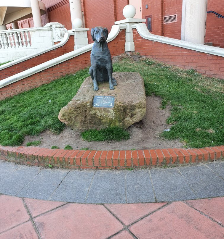 Guide Dog Statue-New Brighton必去景点