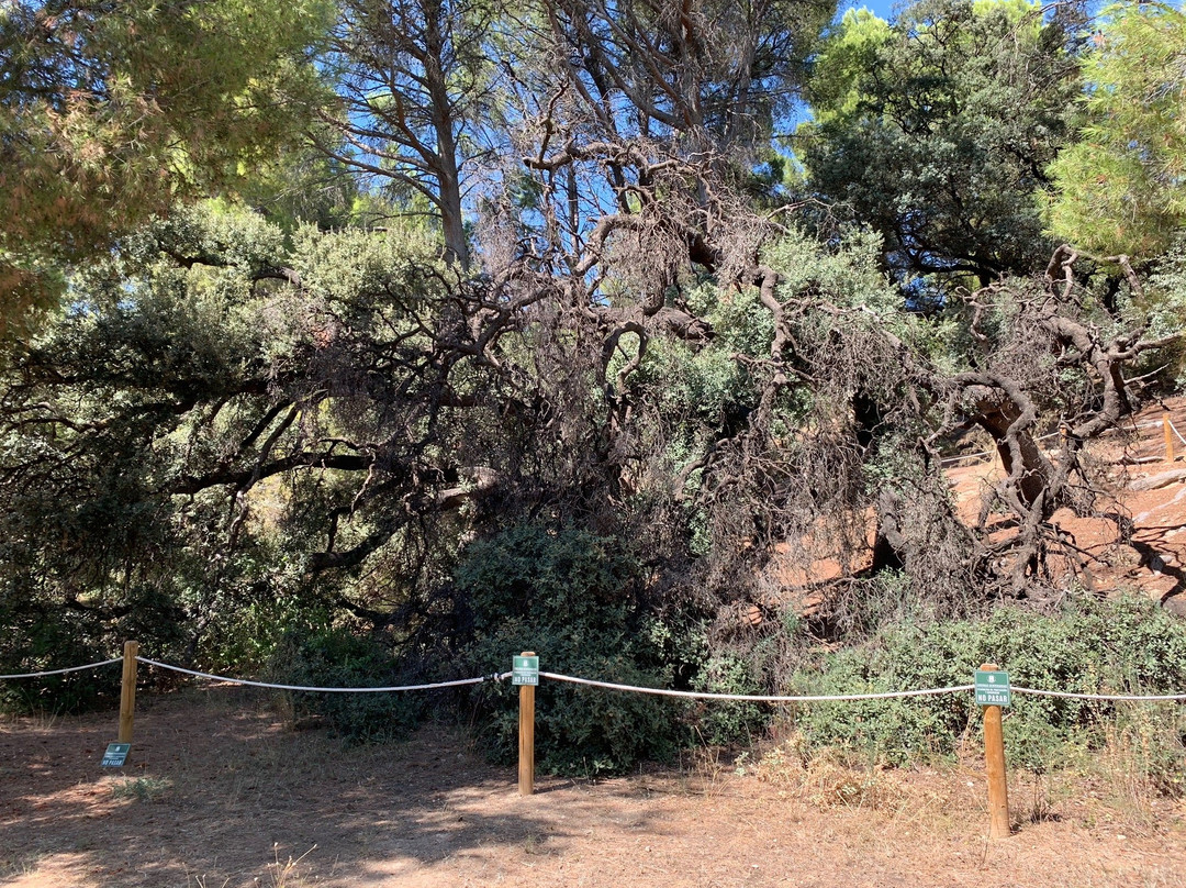 Fuentes del Marqués-Caravaca de la Cruz必去景点