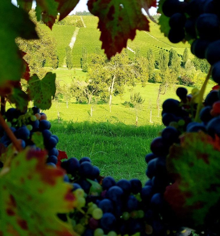 Relais di Tenuta Santa Caterina主图