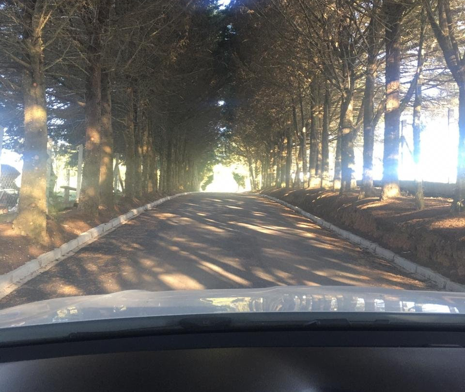 Chacara Sant'Ana-Campo Magro必去景点