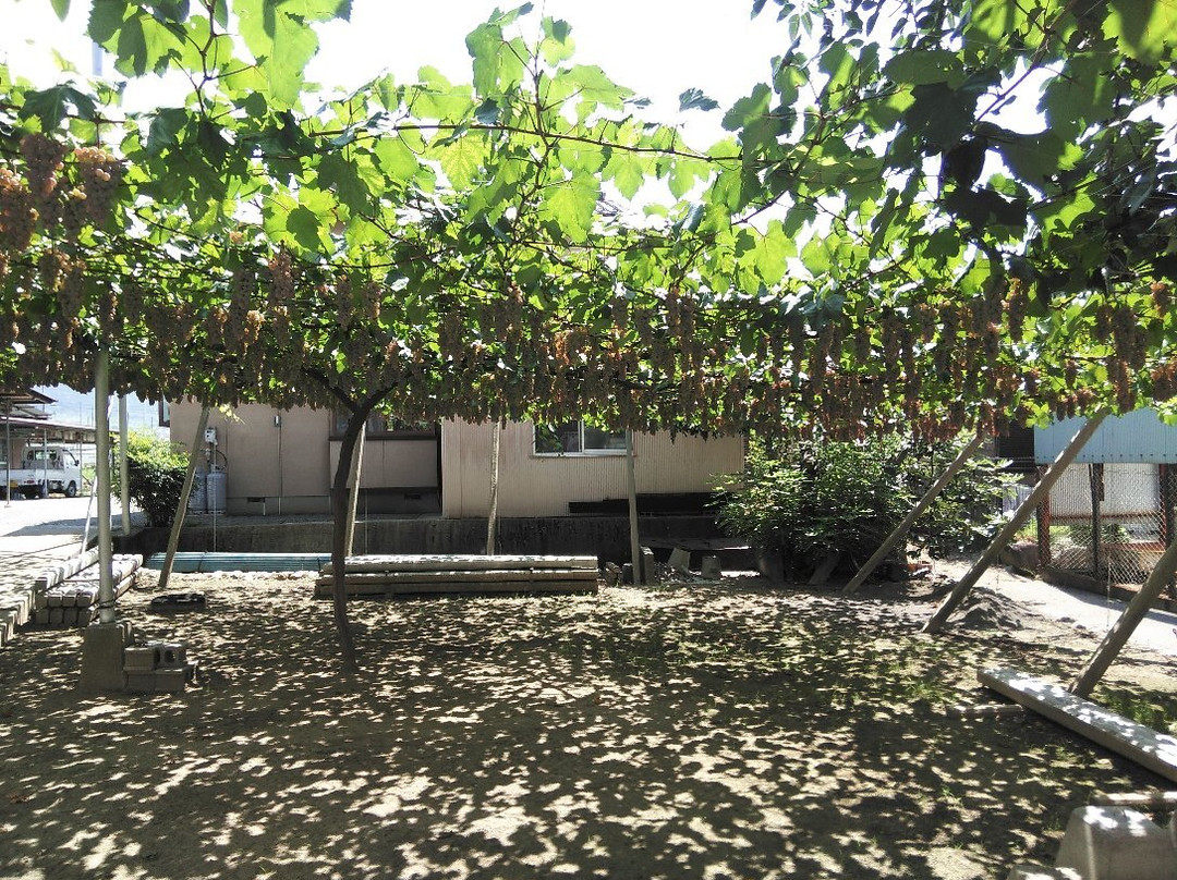 Asaya Winery-甲州市必去景点