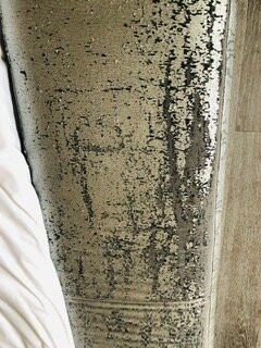 Hotel De Paris主图