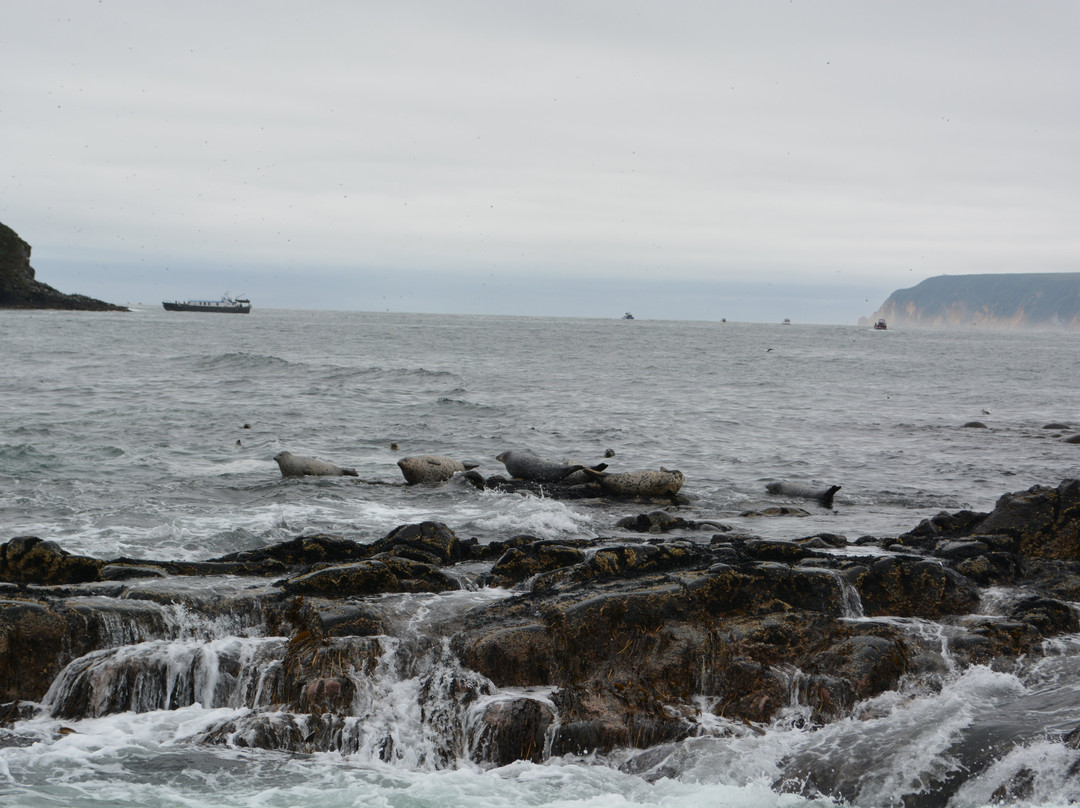 Starichkov Island-Yelizovo必去景点