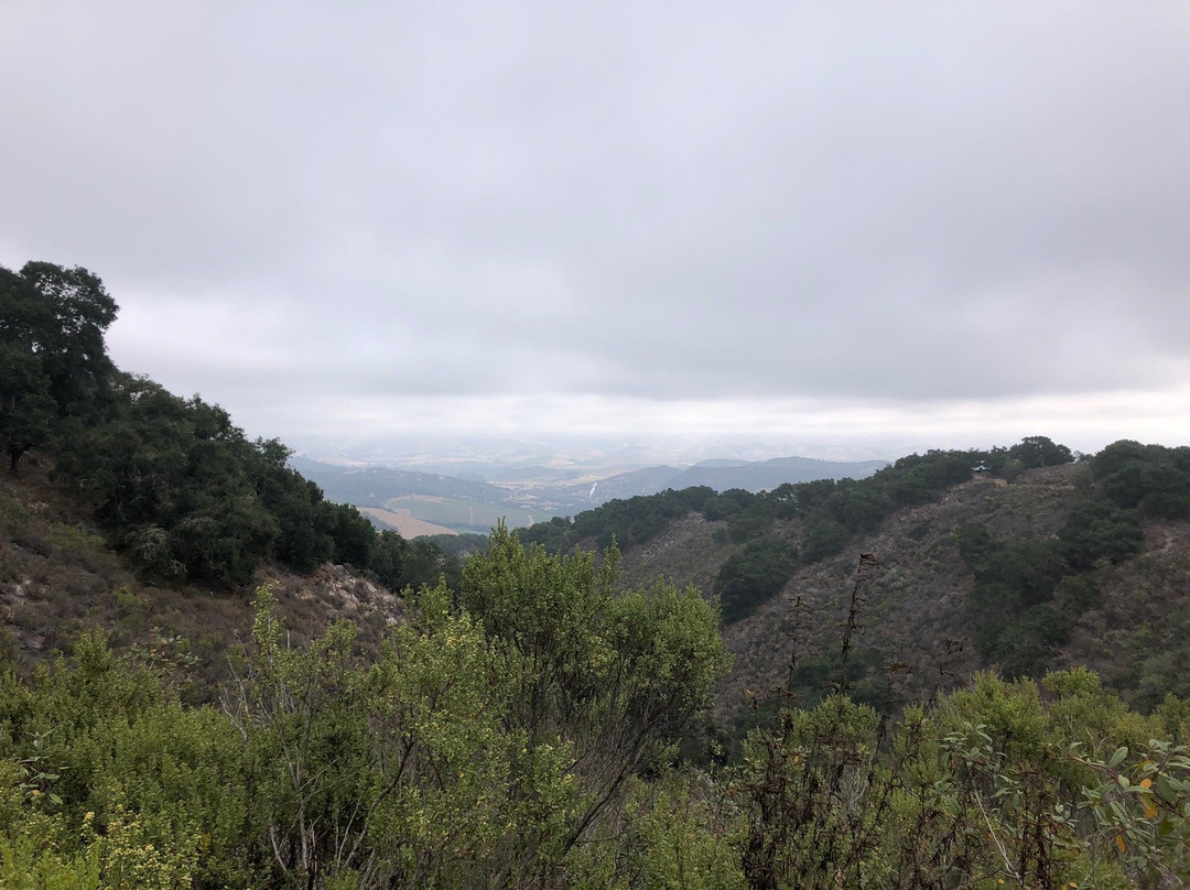Pismo Preserve-庇斯摩海滩必去景点